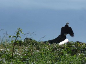 Nature on our doorstep